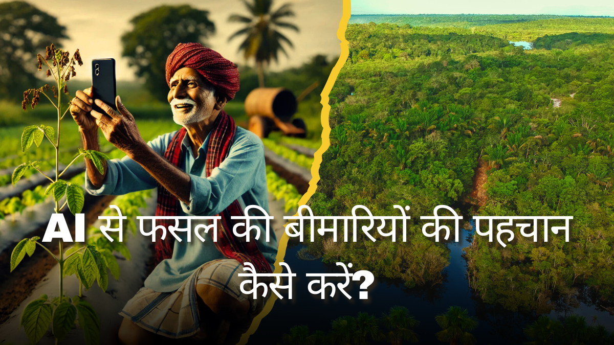 AI से फसल की बीमारियों की पहचान कैसे करें