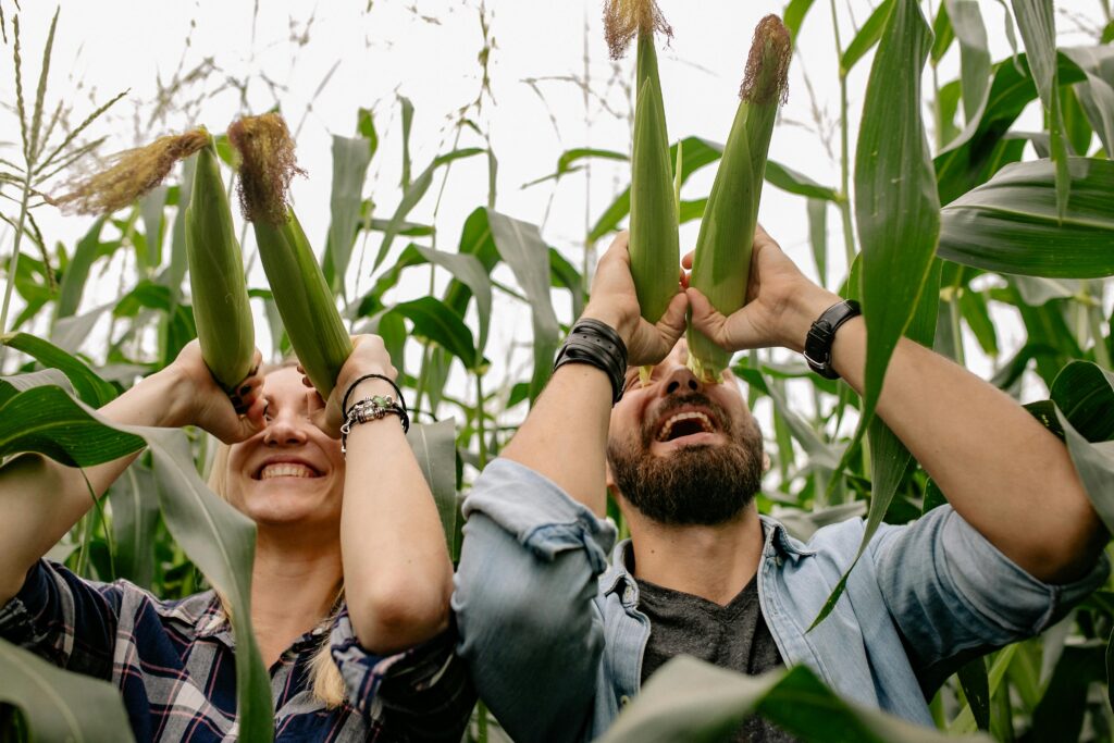 Makka ki Kheti