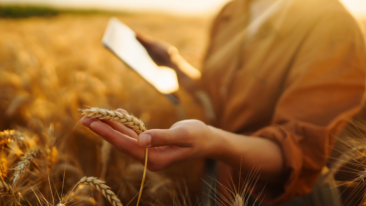 Smart Farming in India
