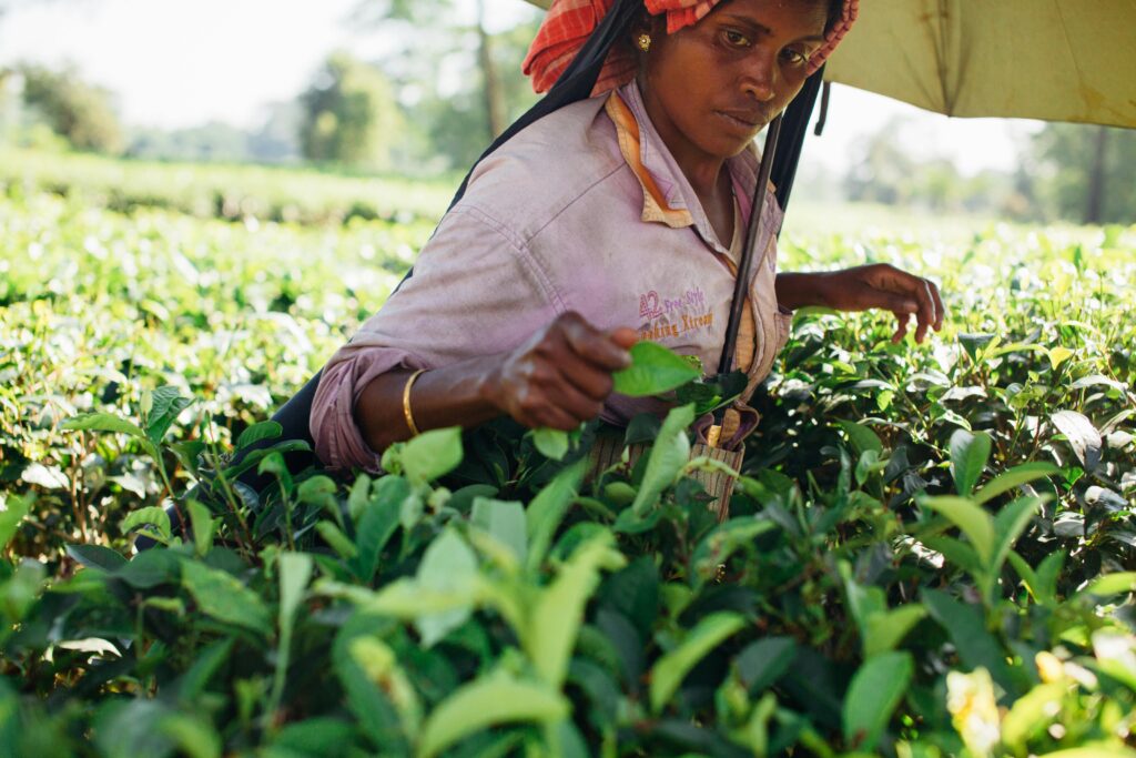 Smart Farming in India