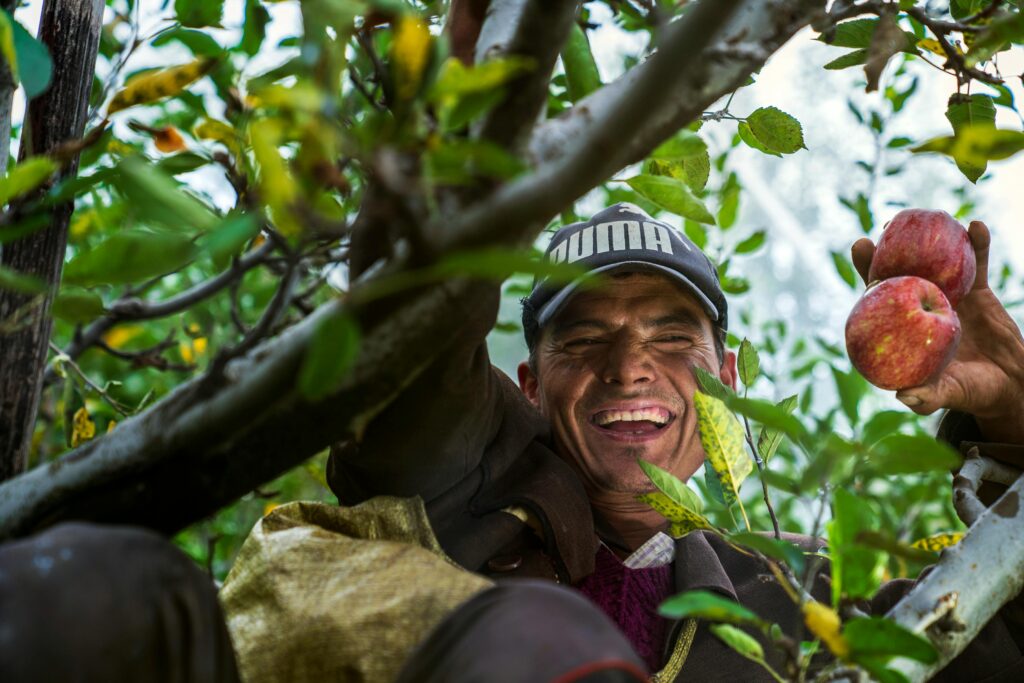 Smart Farming in India