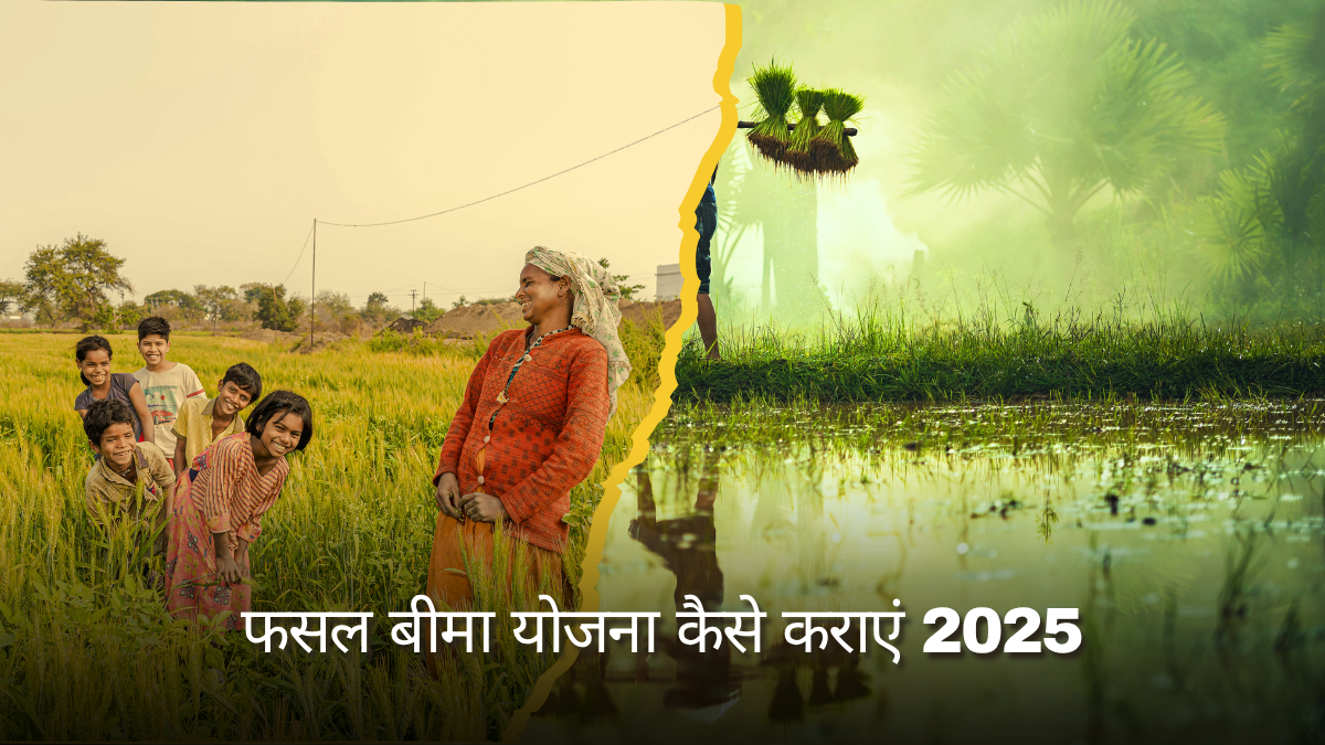How to apply for PM Fasal Bima Yojana