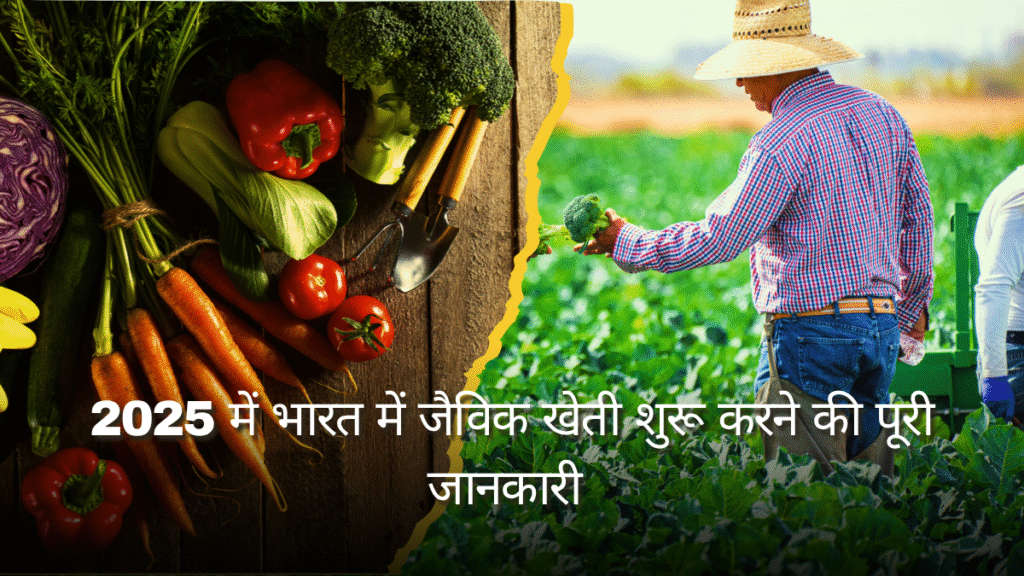 How to do Organic Farming