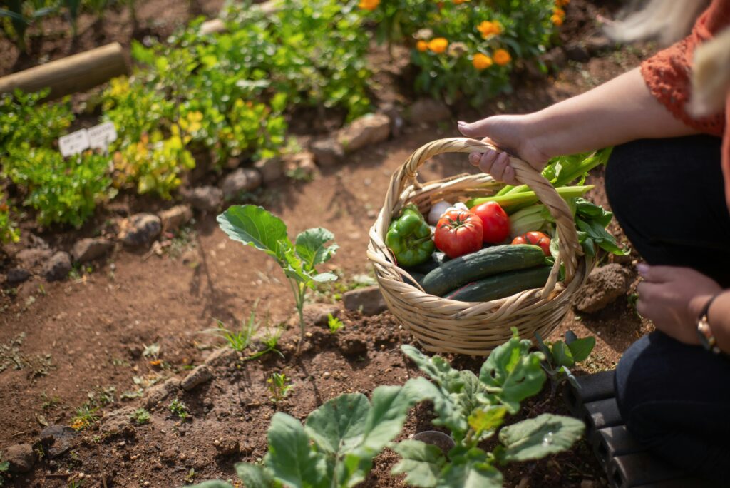 How to do Organic Farming