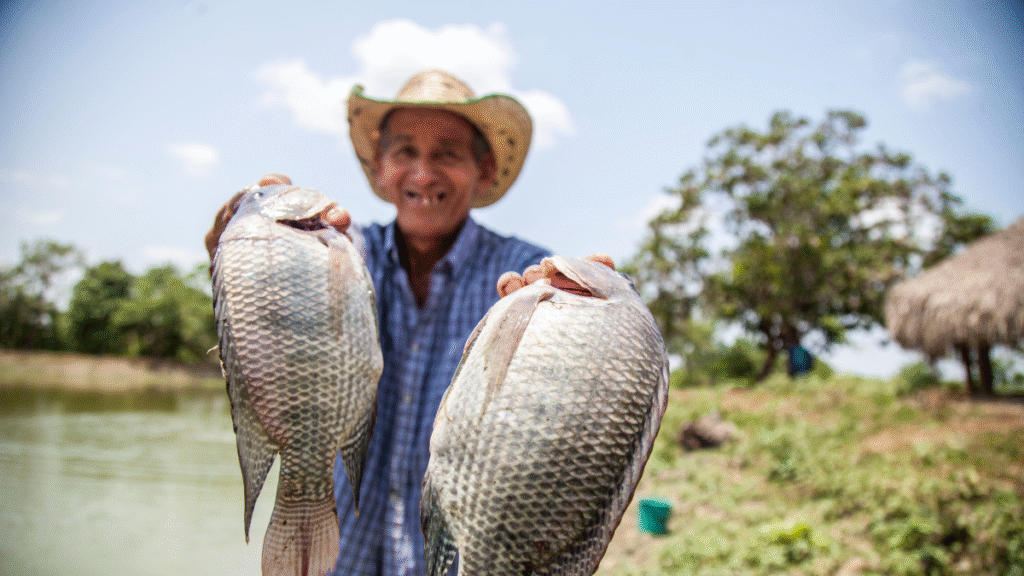 Fish Farming in India