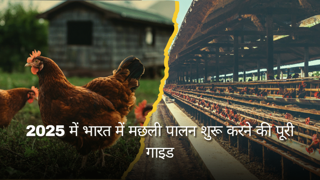 Poultry Farming Business Plan