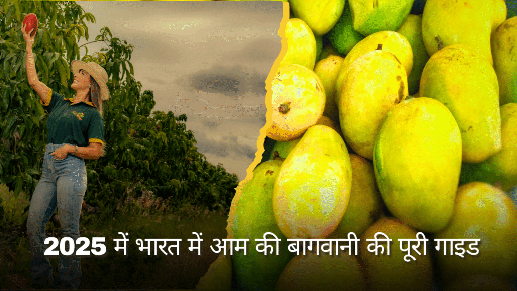 Aam ke ped ki dekhbhal
