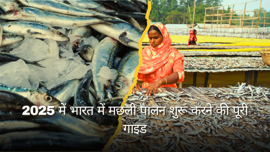 Fish Farming in India