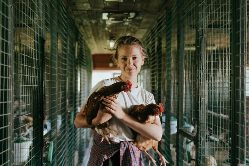 Poultry Farming Business Plan