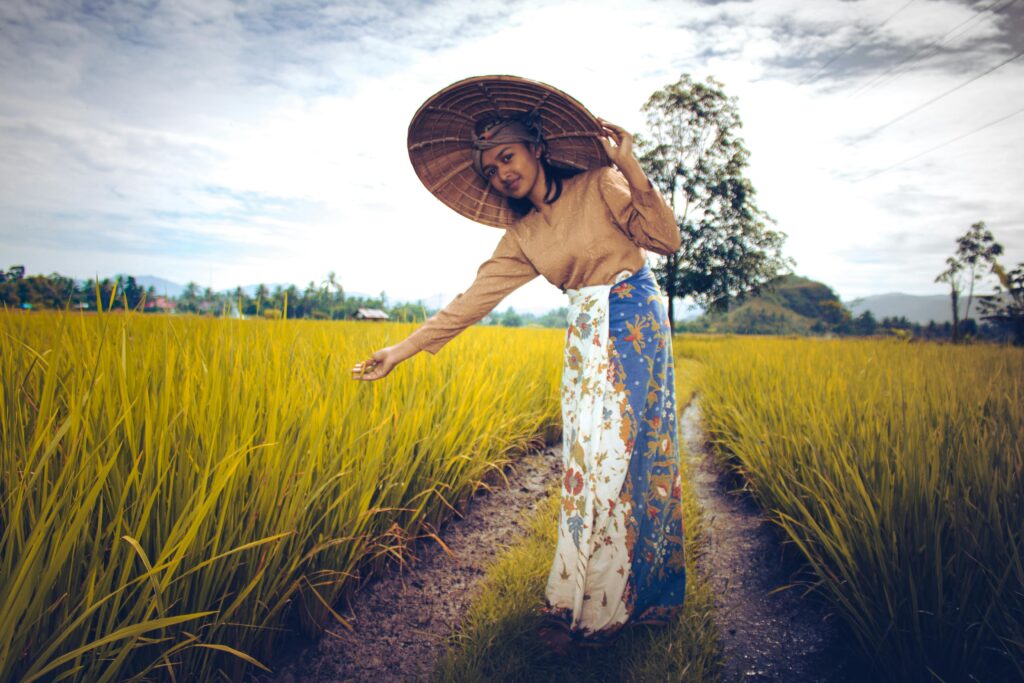 धान की खेती का फोटो (dhan ki kheti ka photo / Paddy field photo)