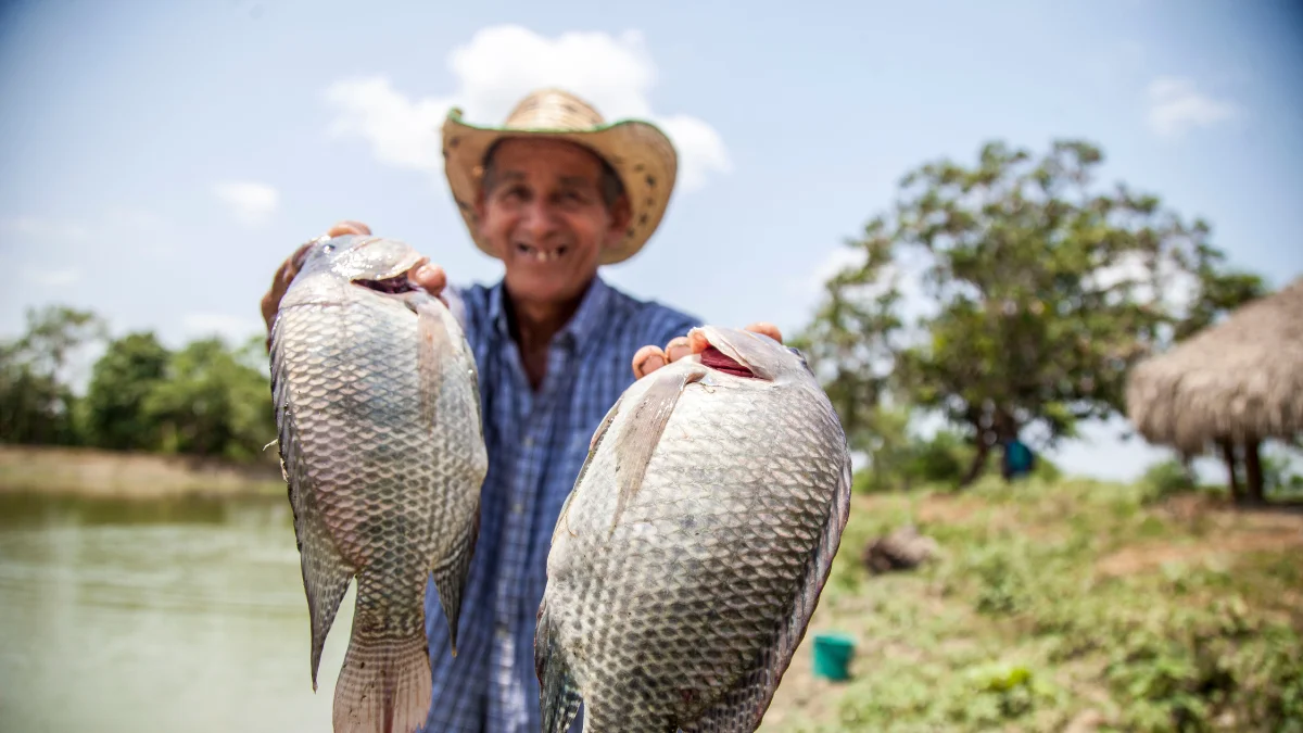 Fish Farming in India